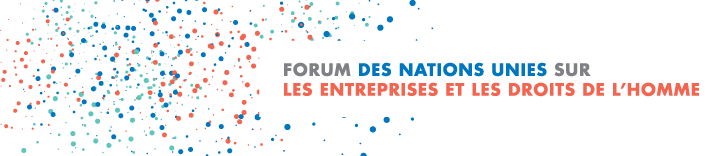 image_UN_forum_entreprises_DH
