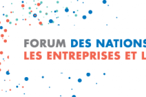 image_UN_forum_entreprises_DH
