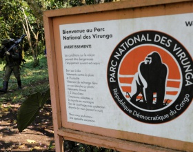 Parc de Virunga
